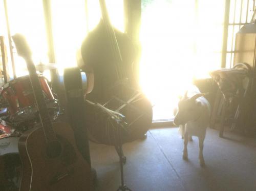 52029121_564858990681396_7087316137188261888_n